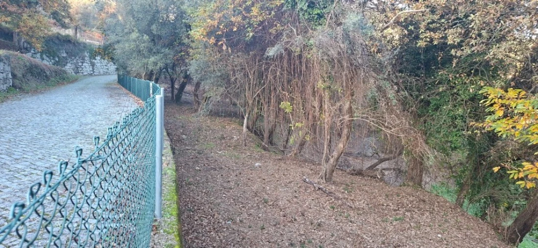Terreno para Venda em Caldelas, Sequeiros e Paranhos Foto 34