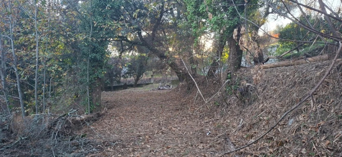 Terreno para Venda em Caldelas, Sequeiros e Paranhos Foto 15