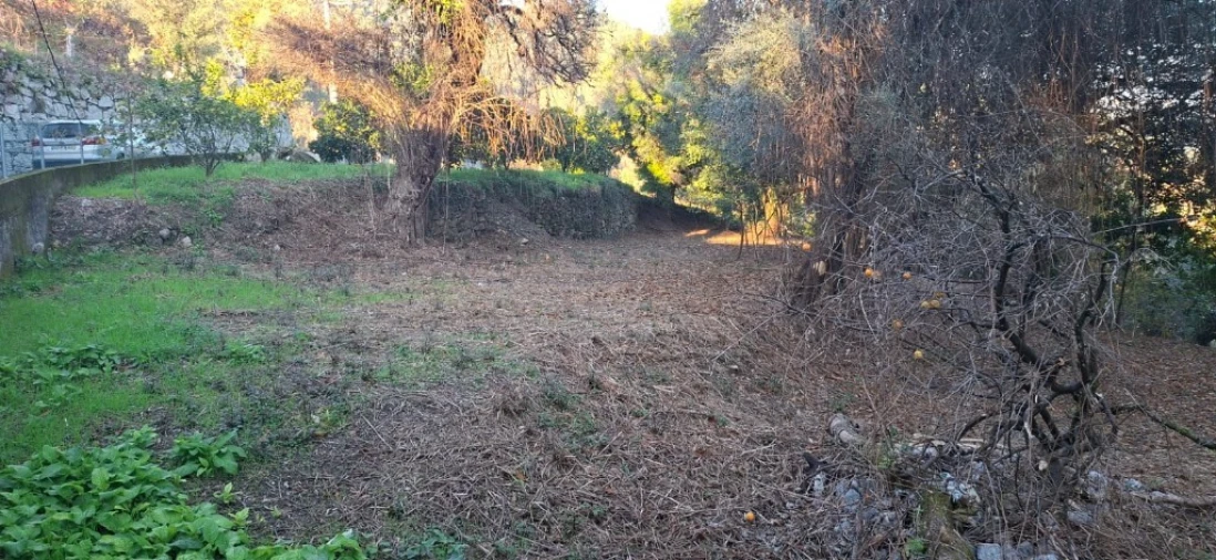 Terreno para Venda em Caldelas, Sequeiros e Paranhos Foto 25