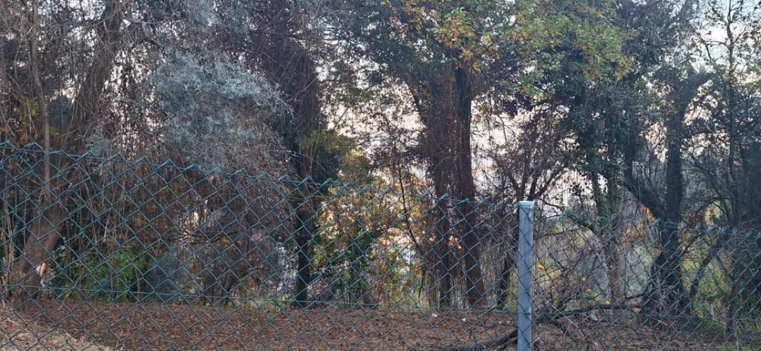 Terreno para Venda em Caldelas, Sequeiros e Paranhos Foto 16