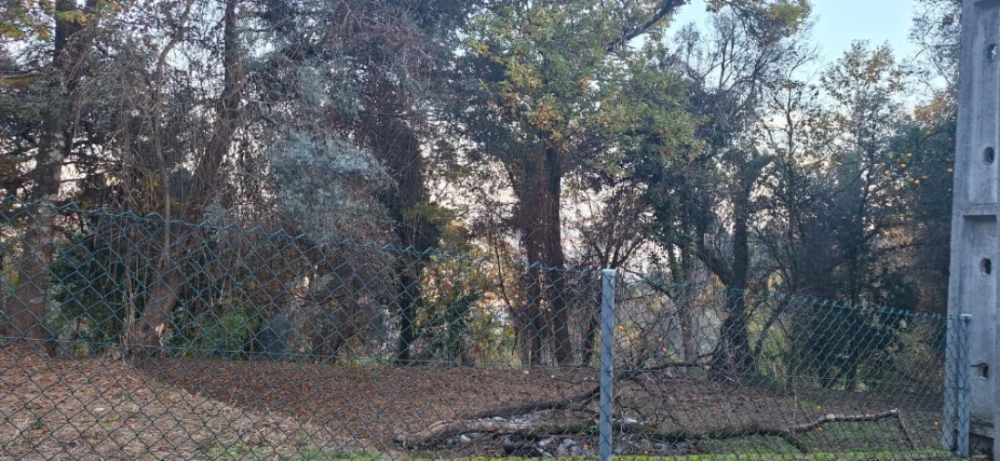Terreno para Venda em Caldelas, Sequeiros e Paranhos Foto 17