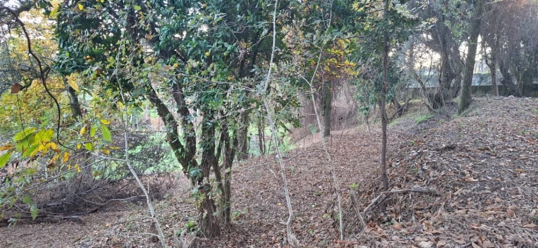 Terreno para Venda em Caldelas, Sequeiros e Paranhos Foto 32