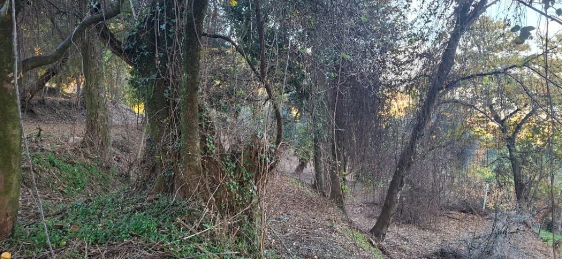 Terreno para Venda em Caldelas, Sequeiros e Paranhos Foto 33