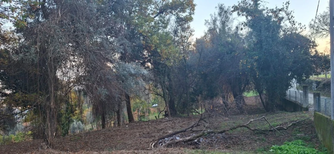 Terreno para Venda em Caldelas, Sequeiros e Paranhos Foto 14