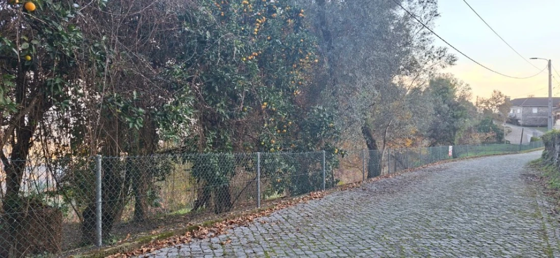 Terreno para Venda em Caldelas, Sequeiros e Paranhos Foto 3