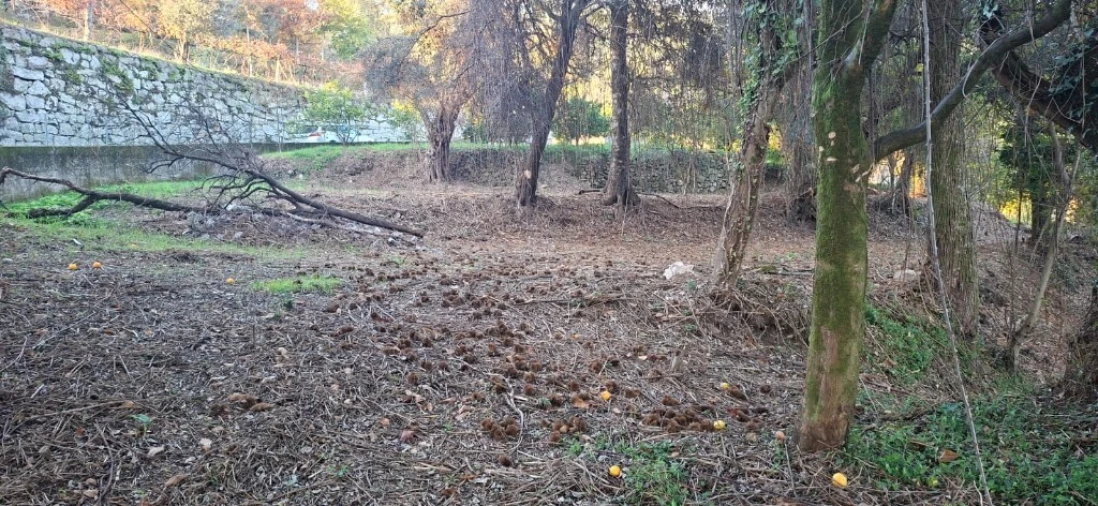 Terreno para Venda em Caldelas, Sequeiros e Paranhos Foto 7