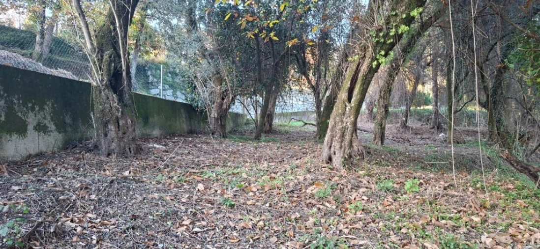 Terreno para Venda em Caldelas, Sequeiros e Paranhos Foto 6