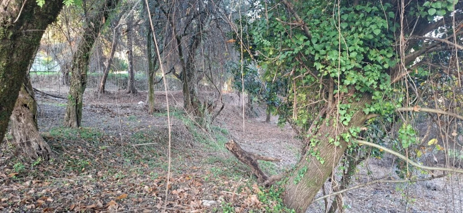Terreno para Venda em Vilela, Seramil e Paredes Secas Foto 22