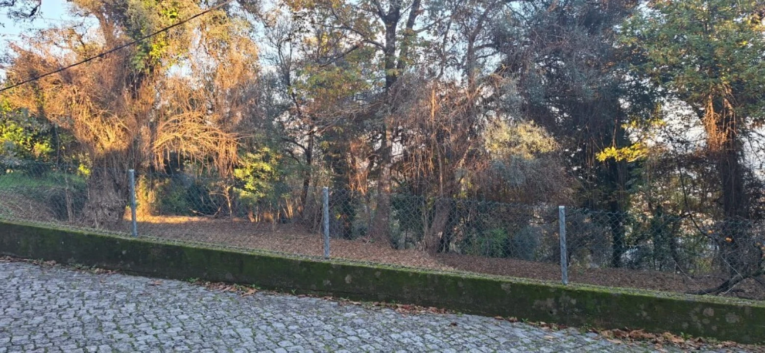 Terreno para Venda em Vilela, Seramil e Paredes Secas Foto 4