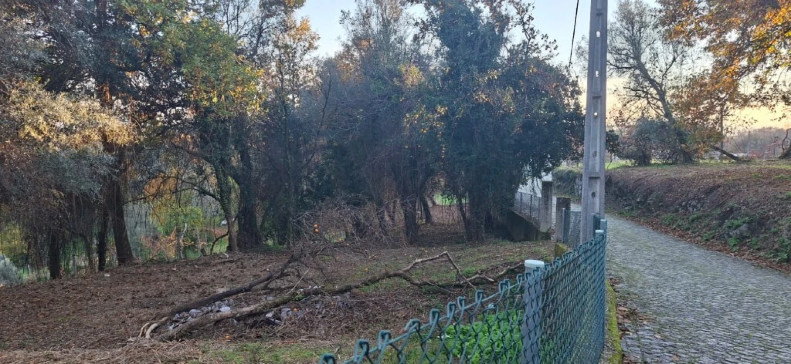 Terreno para Venda em Vilela, Seramil e Paredes Secas Foto 2