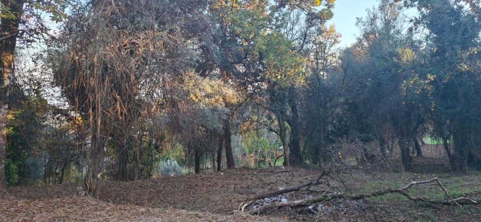 Terreno para Venda em Vilela, Seramil e Paredes Secas Foto 21