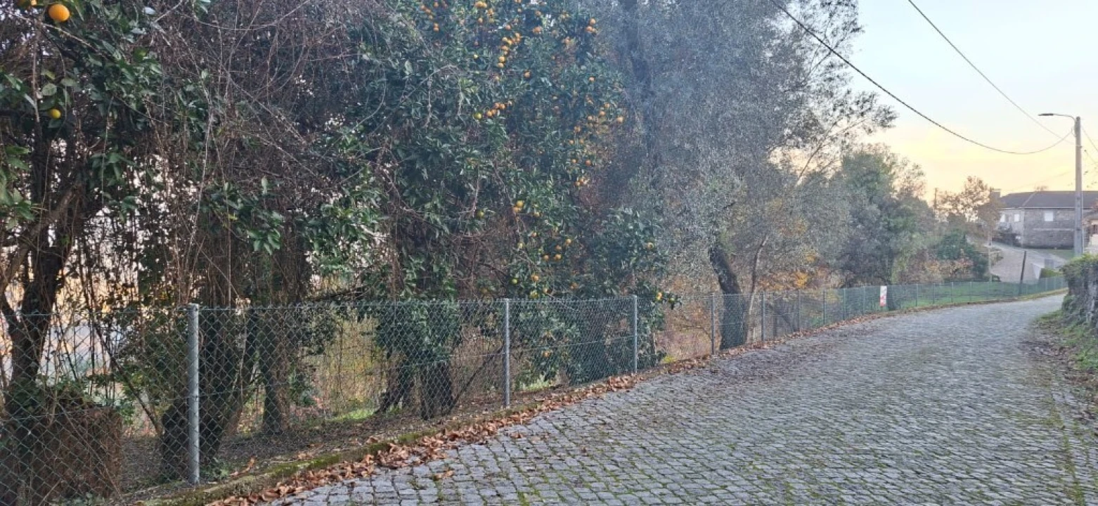 Terreno para Venda em Vilela, Seramil e Paredes Secas Foto 3