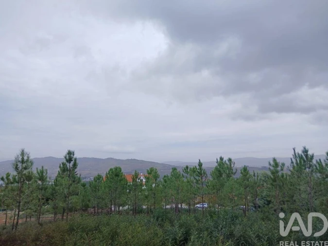 Terreno para Venda em Tortosendo Foto 11