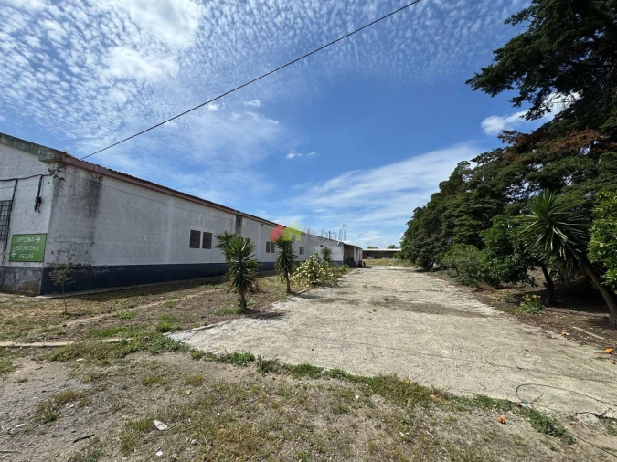 Armazém para Venda em Beja (Salvador e Santa Maria da Feira) Foto 8