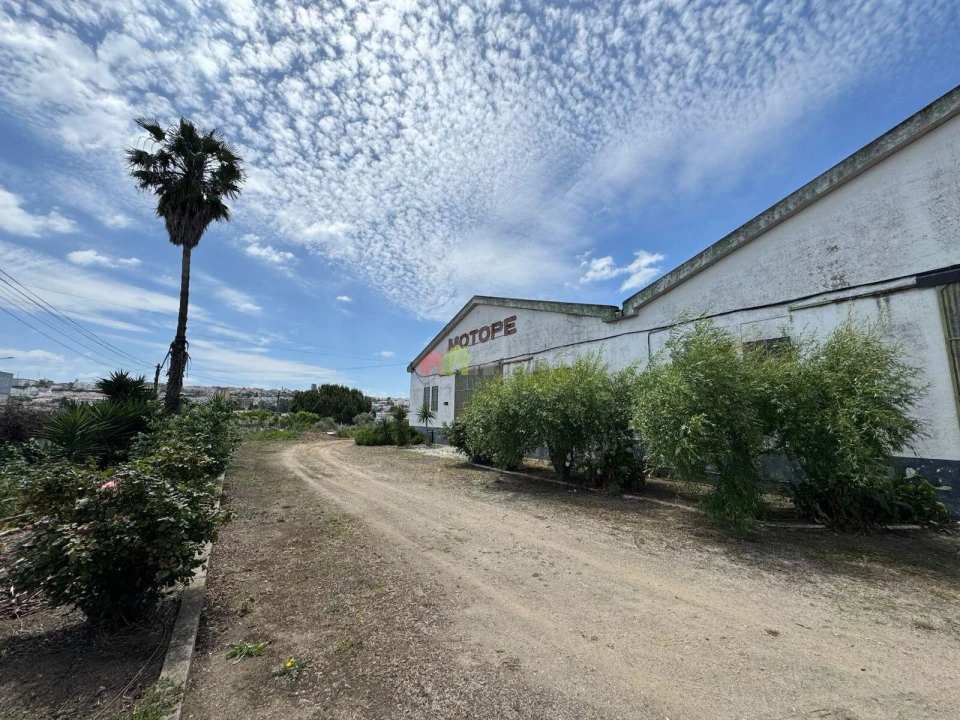 Armazém para Venda em Beja (Salvador e Santa Maria da Feira) Foto 6