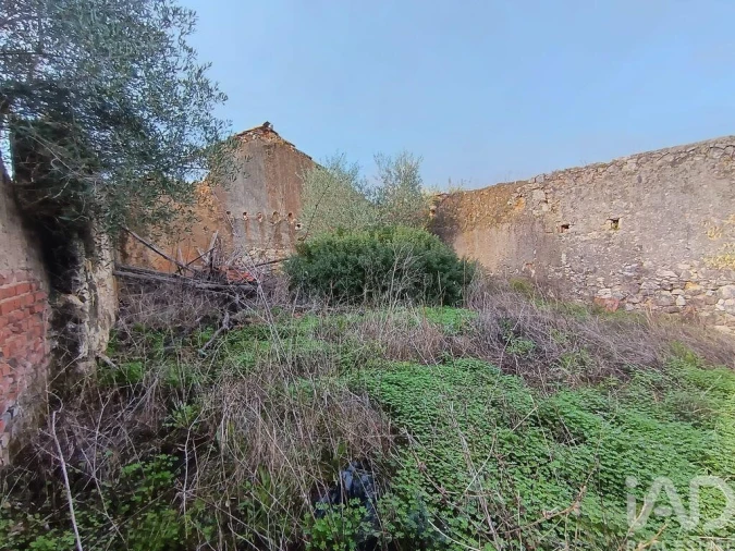 Moradia para Venda em Chancelaria Foto 11