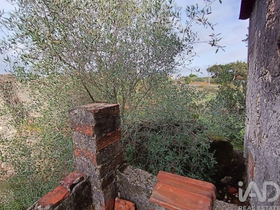 Moradia para Venda em Chancelaria Foto 15