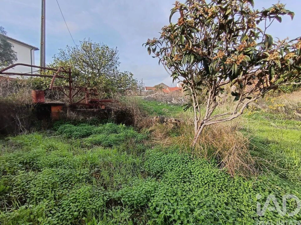 Moradia para Venda em Chancelaria Foto 18