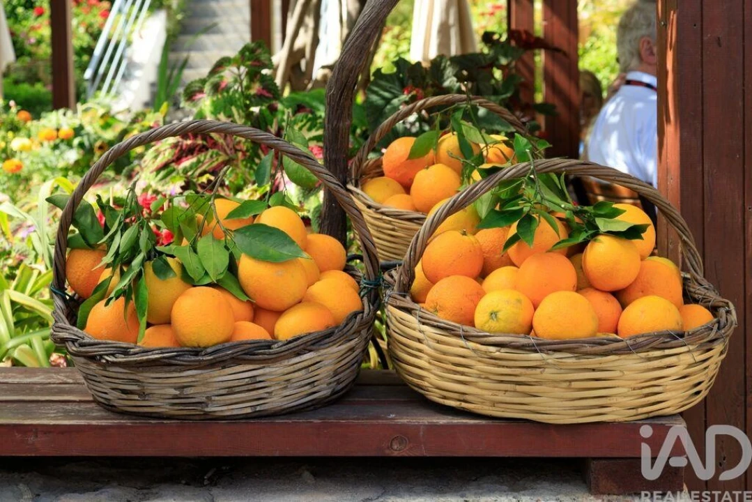 Moradia para Venda em Chancelaria Foto 20