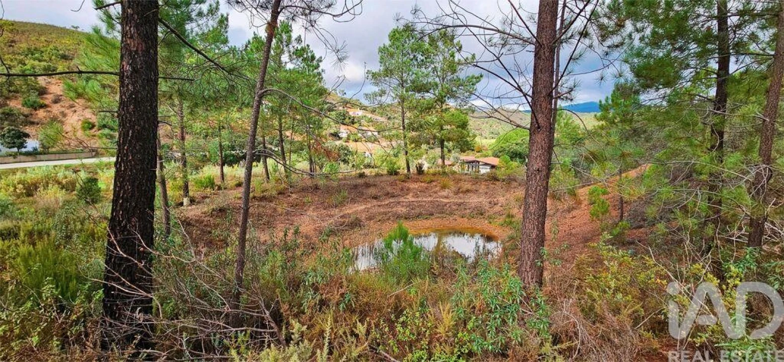 Terreno para Venda em Mexilhoeira Grande Foto 1