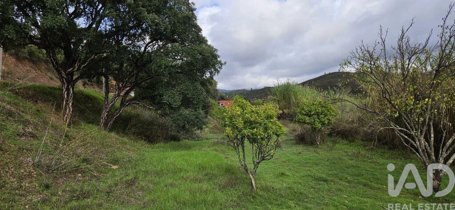Terreno para Venda em Mexilhoeira Grande Foto 13
