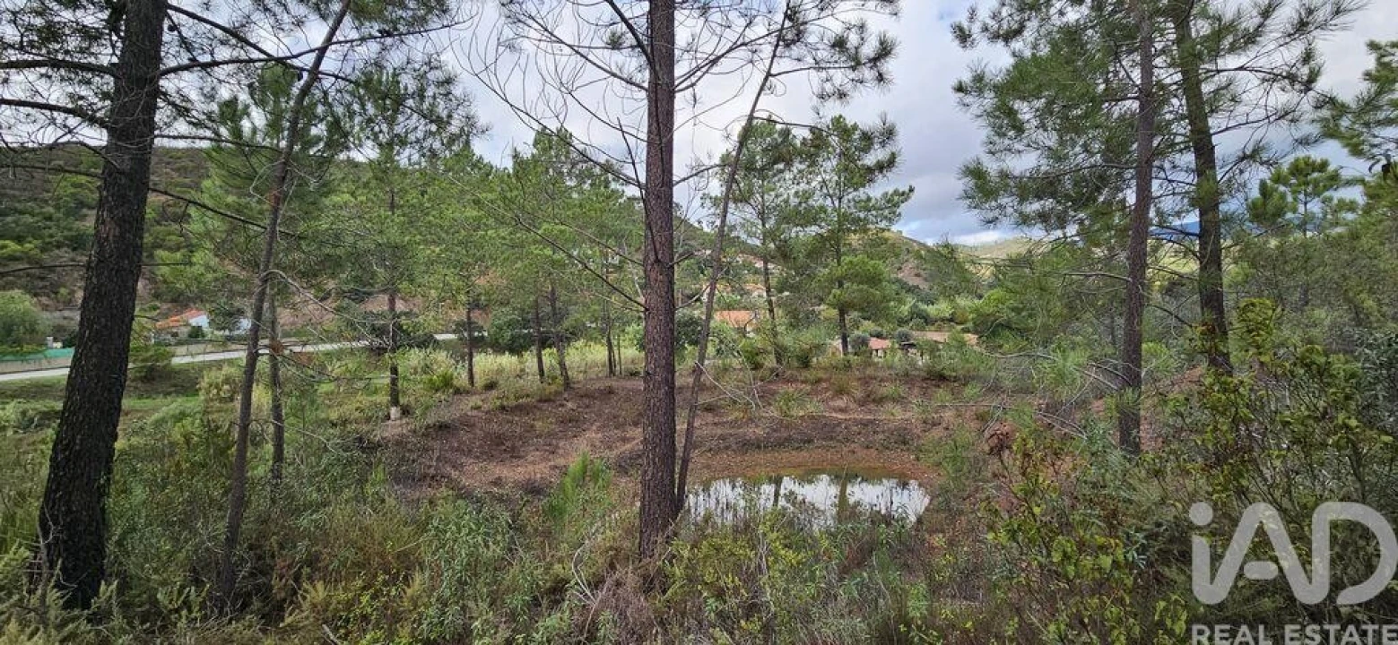 Terreno para Venda em Mexilhoeira Grande Foto 23