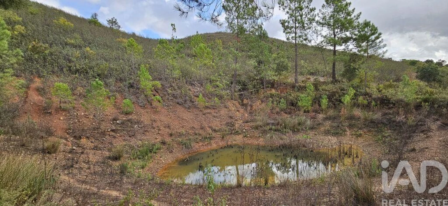 Terreno para Venda em Mexilhoeira Grande Foto 18