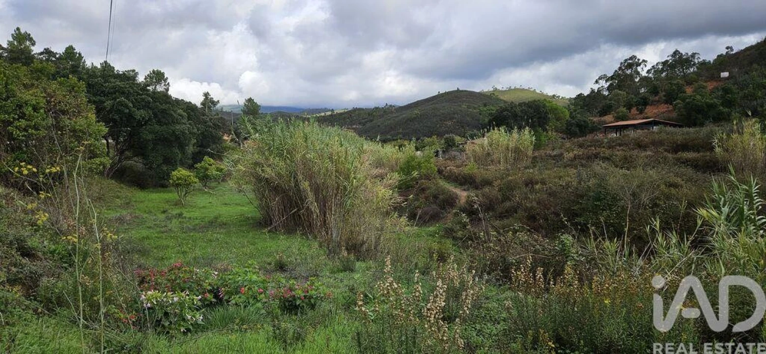Terreno para Venda em Mexilhoeira Grande Foto 9
