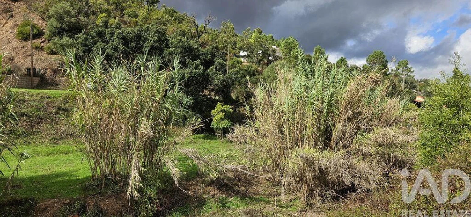 Terreno para Venda em Mexilhoeira Grande Foto 2
