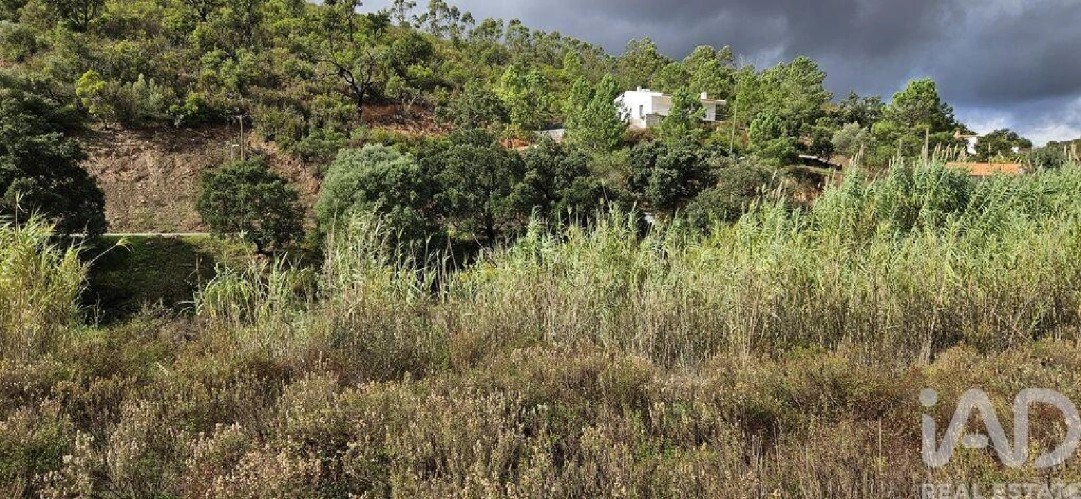 Terreno para Venda em Mexilhoeira Grande Foto 21