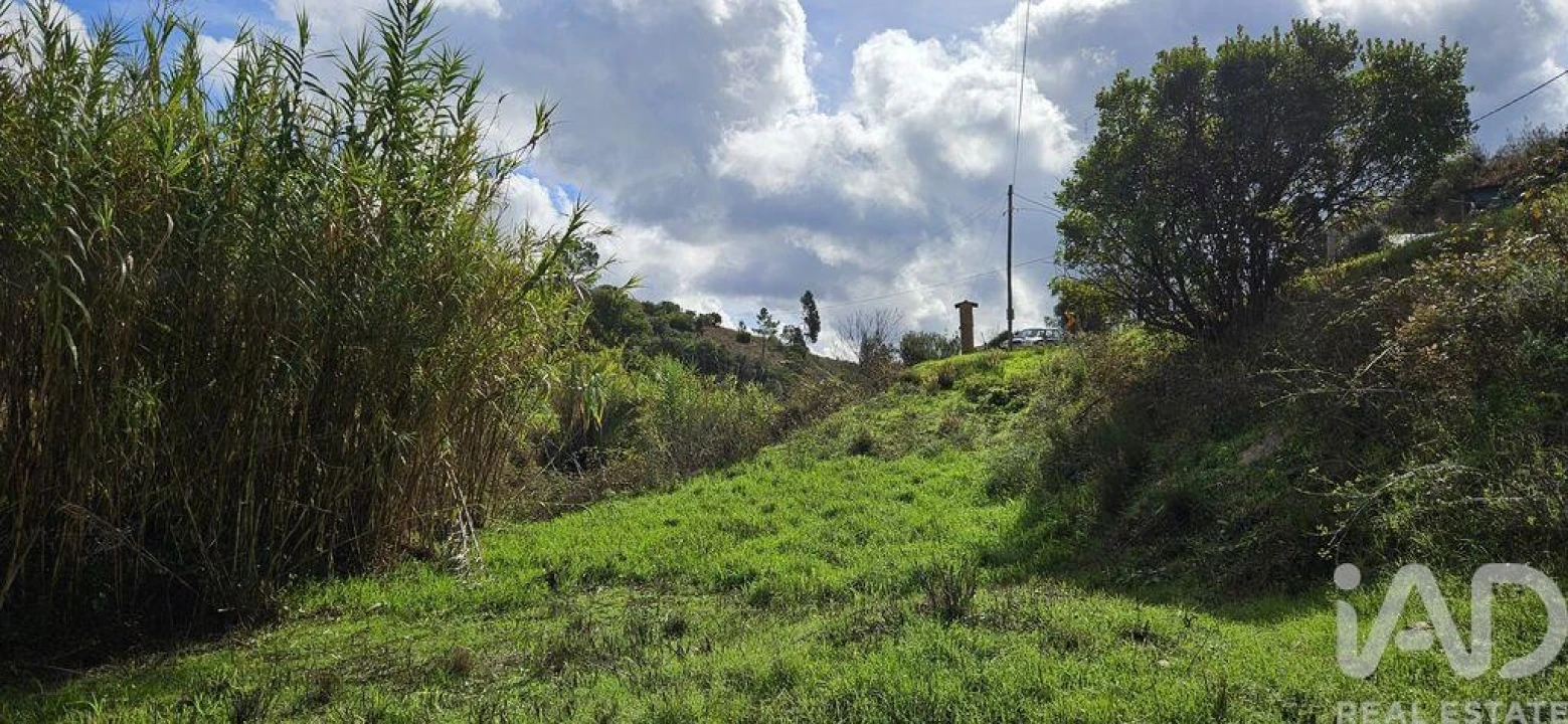Terreno para Venda em Mexilhoeira Grande Foto 12