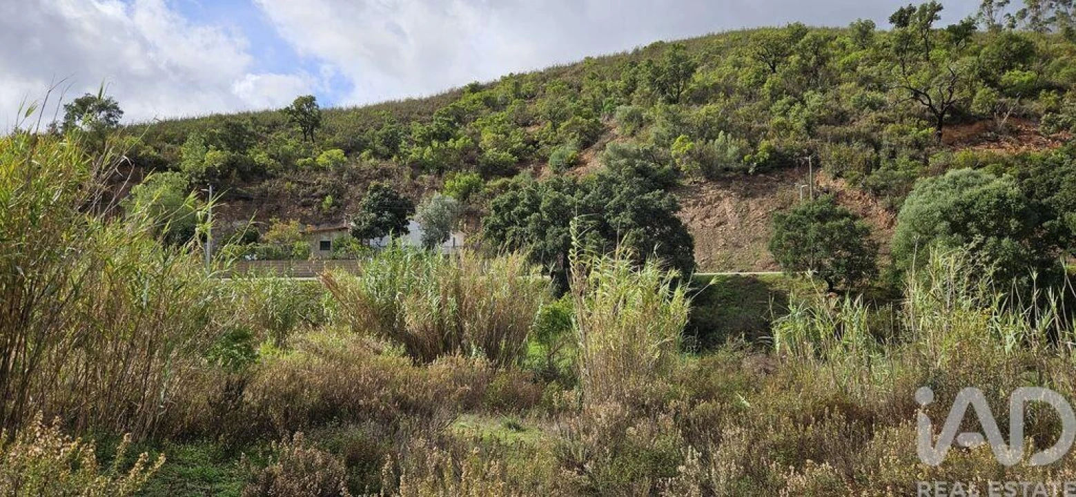 Terreno para Venda em Mexilhoeira Grande Foto 22