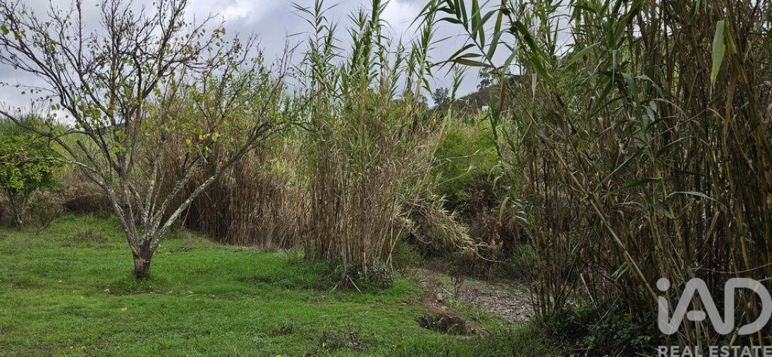 Terreno para Venda em Mexilhoeira Grande Foto 14