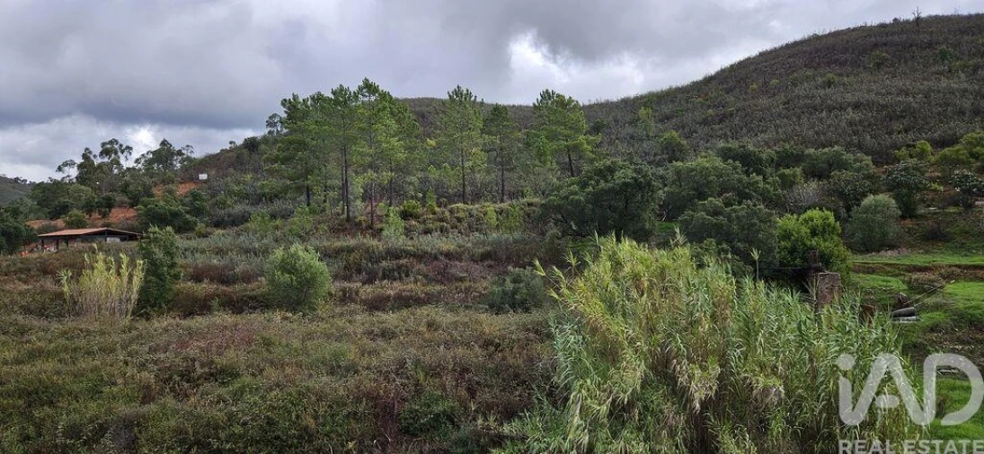 Terreno para Venda em Mexilhoeira Grande Foto 10