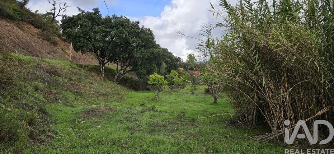 Terreno para Venda em Mexilhoeira Grande Foto 11