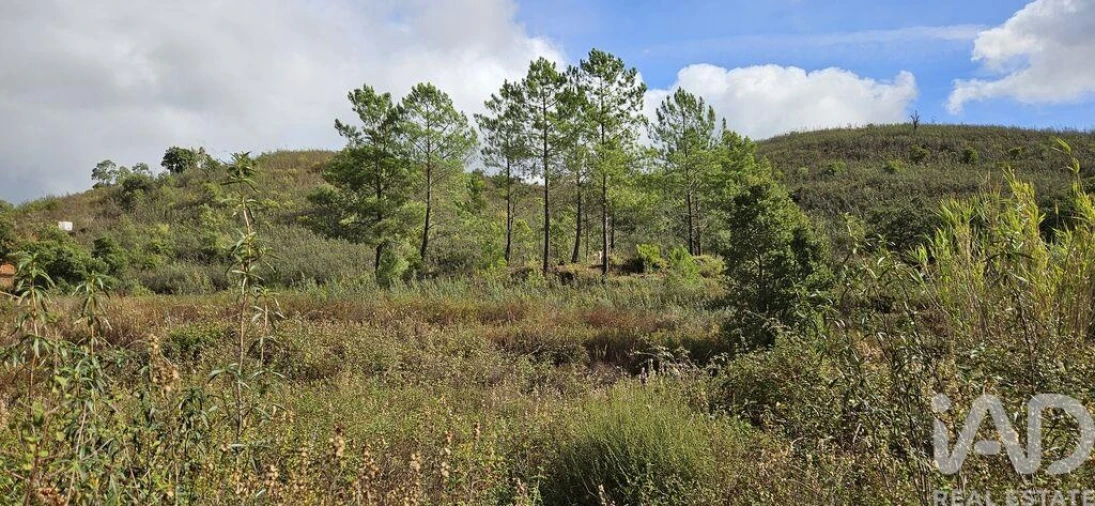 Terreno para Venda em Mexilhoeira Grande Foto 5