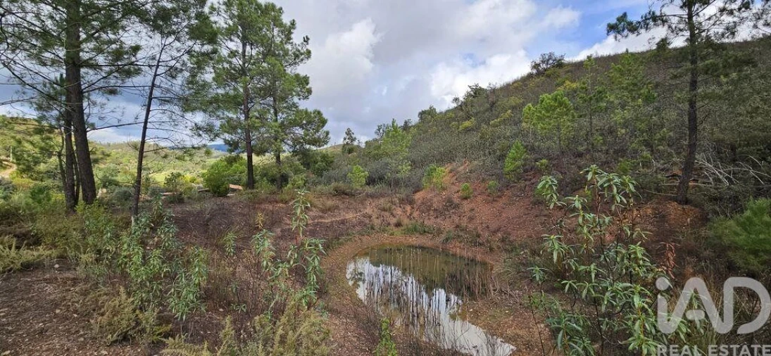 Terreno para Venda em Mexilhoeira Grande Foto 20