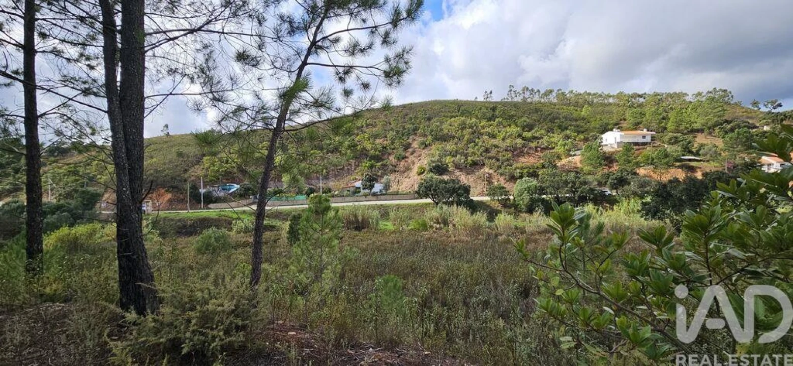 Terreno para Venda em Mexilhoeira Grande Foto 19