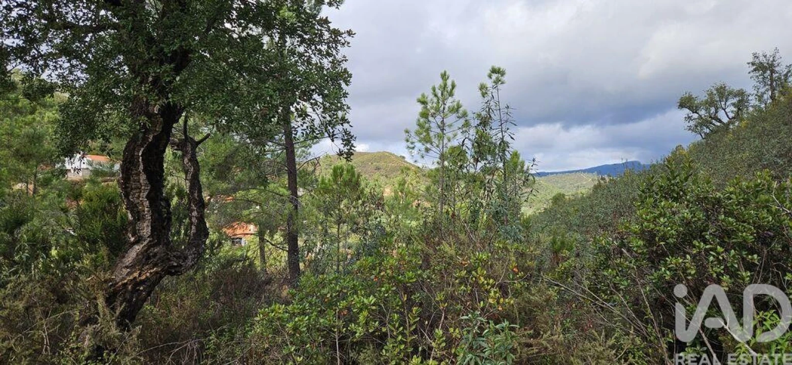 Terreno para Venda em Mexilhoeira Grande Foto 8