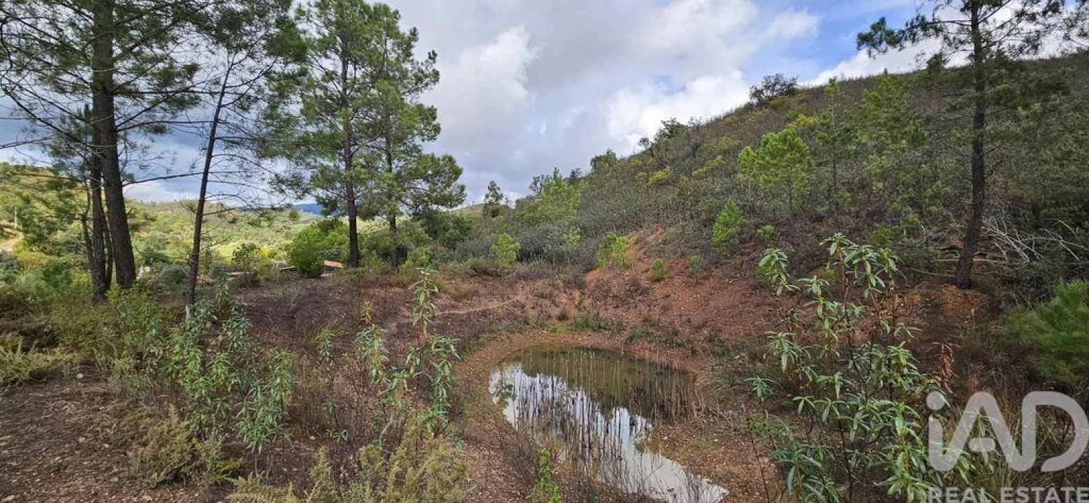 Terreno para Venda em Mexilhoeira Grande Foto 20