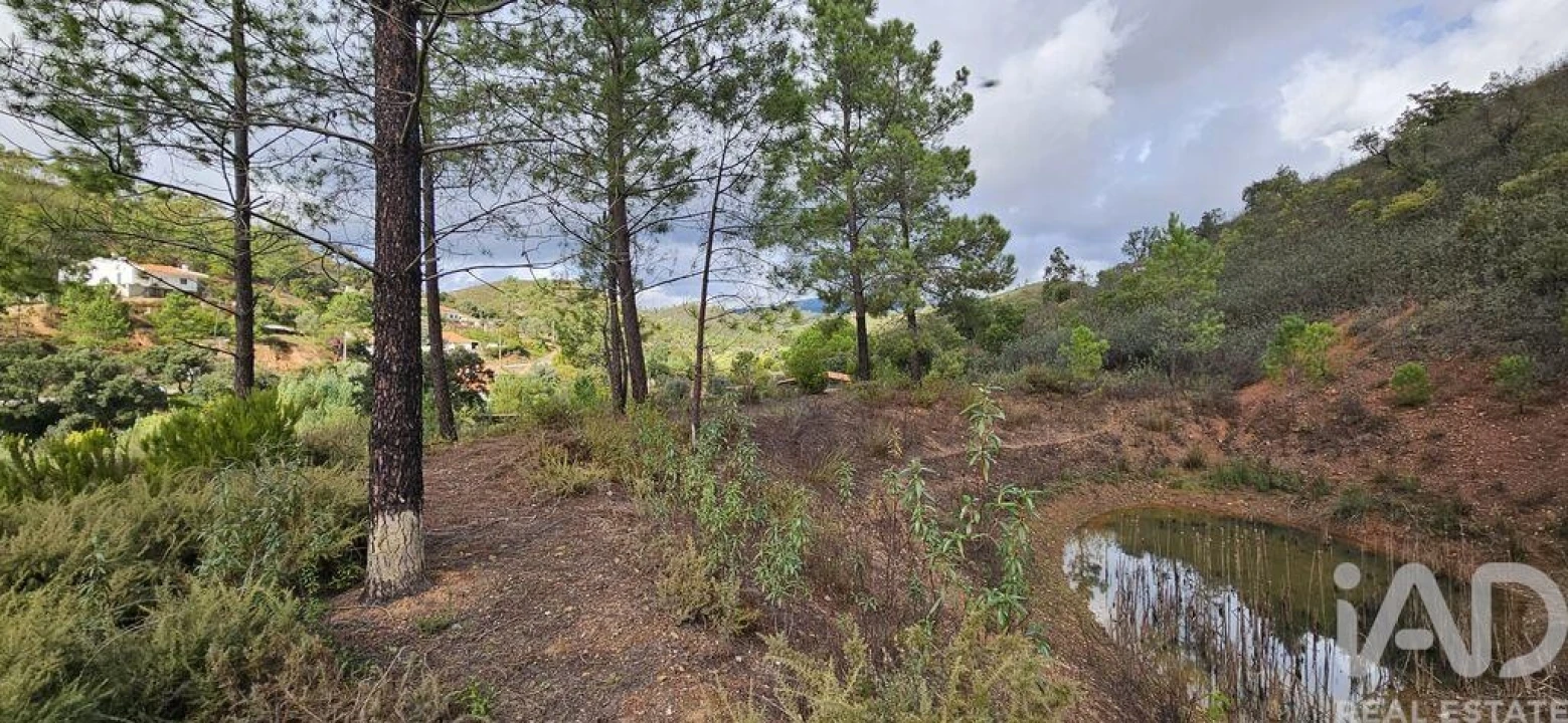 Terreno para Venda em Mexilhoeira Grande Foto 17