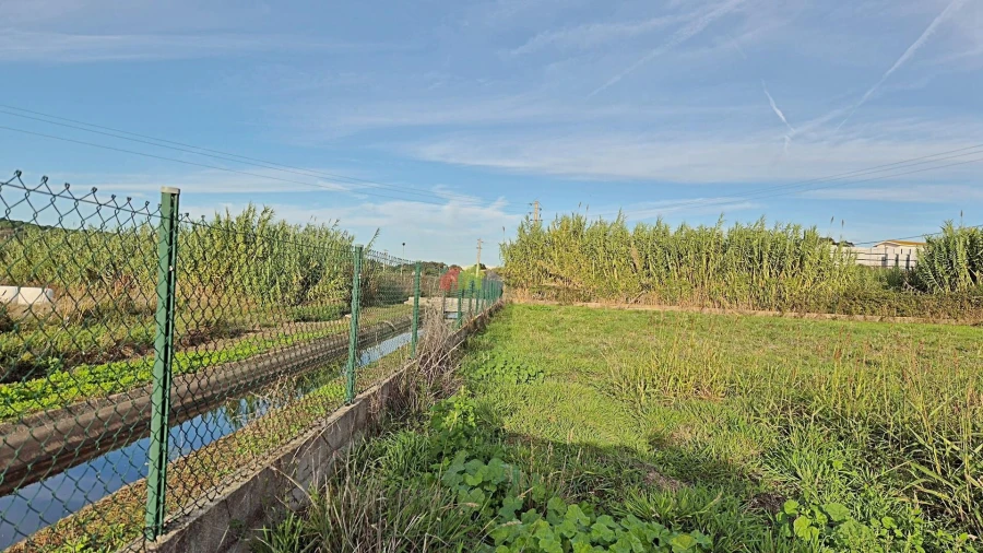 Moradia T2 para Venda em Mora Foto 31