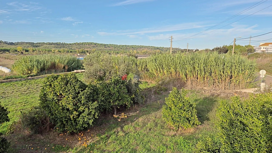 Moradia T2 para Venda em Mora Foto 33