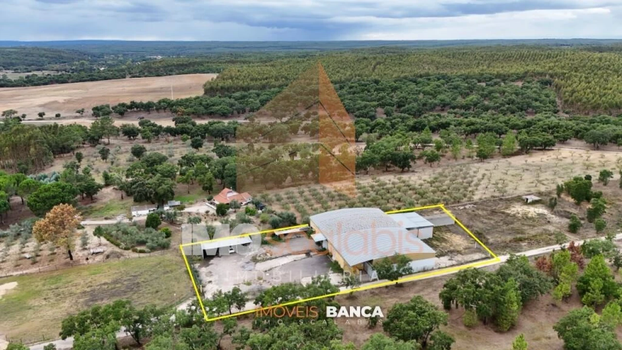 Armazém para Venda em Parreira e Chouto Foto 3