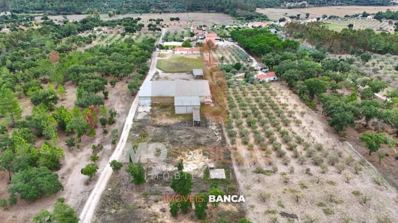 Armazém para Venda em Parreira e Chouto Foto 6