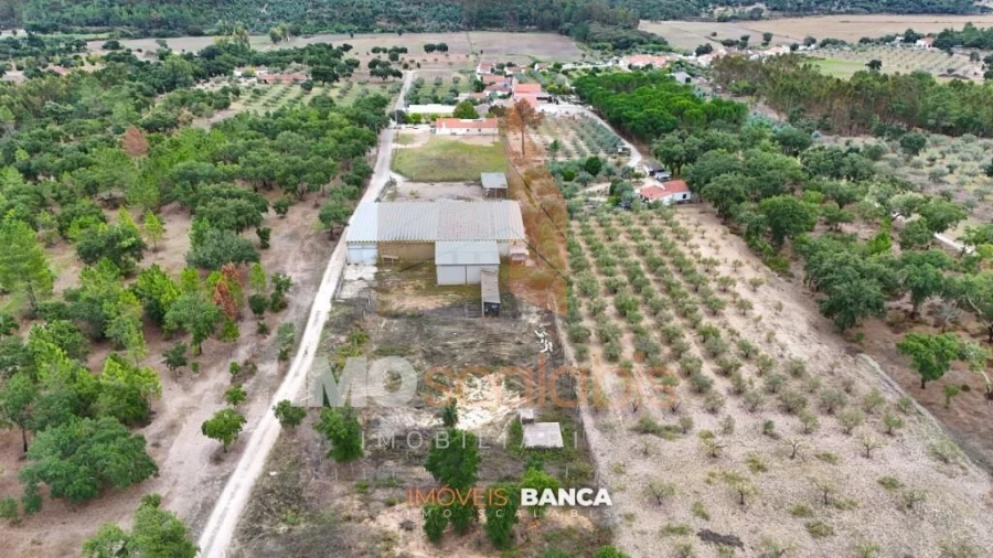 Armazém para Venda em Parreira e Chouto Foto 6