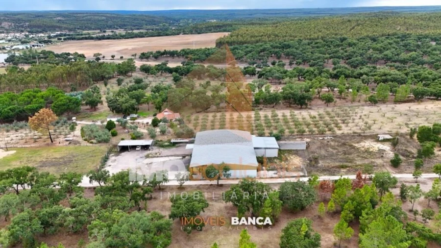 Armazém para Venda em Parreira e Chouto Foto 4