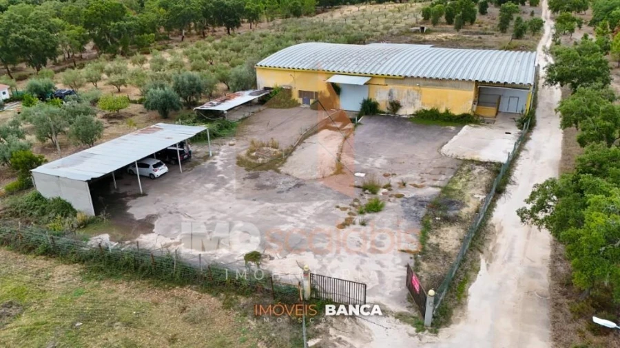 Armazém para Venda em Parreira e Chouto Foto 12