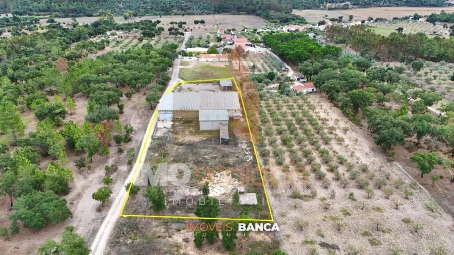 Armazém para Venda em Parreira e Chouto Foto 7