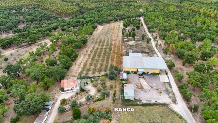 Armazém para Venda em Parreira e Chouto